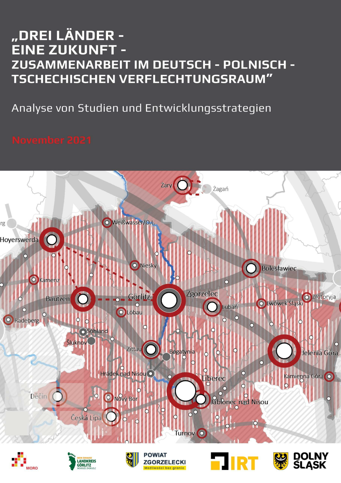 Download - Analyse von Studien und Entwicklungsstrategien Download - Analyse von Studien und Entwicklungsstrategien